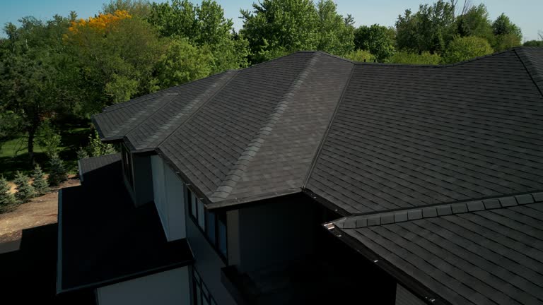 Best Roof Coating and Sealing  in Rockford, IL