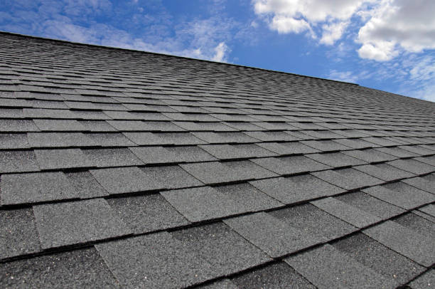 Best Asphalt Shingle Roofing  in Rockford, IL